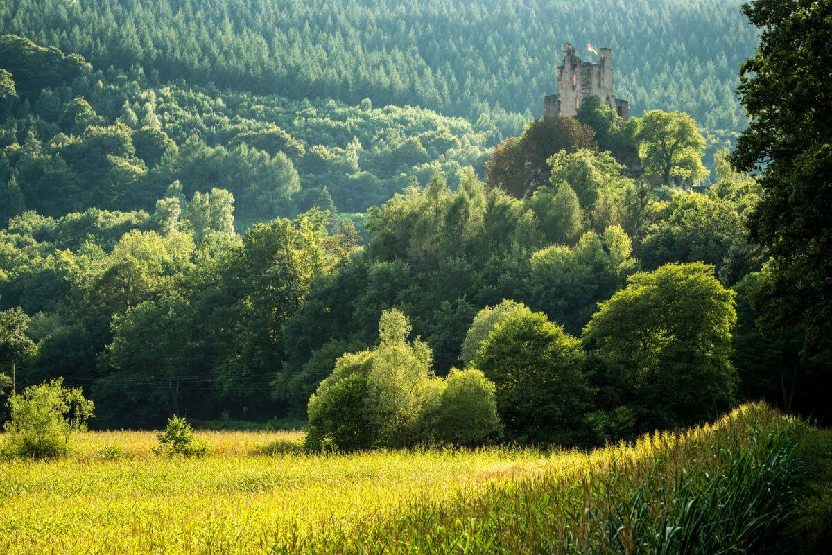 Moselsteig-Burg Ramstein.jpg